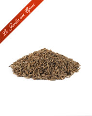 GRAINES DE CUMIN