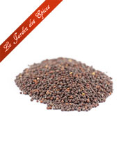 GRAINES DE MOUTARDE BRUNES
