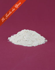 OIGNONS BLANCS MOULUS