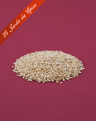 GRAINES DE QUINOA BLANCHES