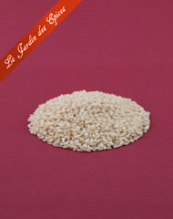 GRAINES DE SESAME BLANC