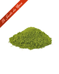 THE MATCHA DE GYOKURO