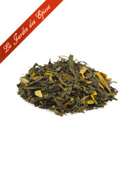 THE SENCHA MANGUE