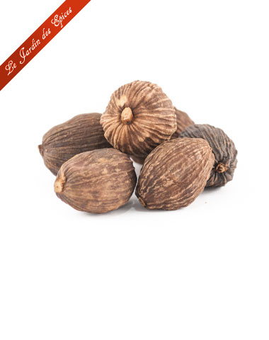 Graines de CARDAMOME noir - Prix €1.95