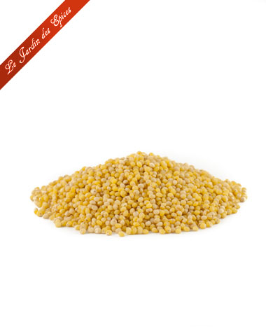 GRAINES DE MILLET